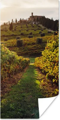 Produktbild von MuchoWow® Poster Toskana - Landschaft - Weinberge 60x120 cm - Wandschmuck