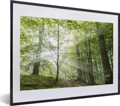 Produktbild von MuchoWow® MuchoWow® Gerahmtes Poster Wald - Bäume - Sonne 40x30 cm - Poster mit zchwarzem Bilderrahmen - Bilderrahmen - Poster im Rahmen