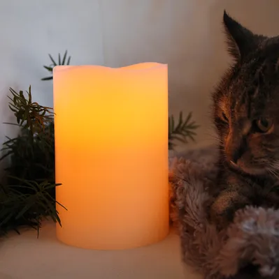 A cat is looking at a lit LED candle next to some pine branches.
