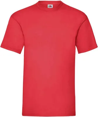 Image de Fruit of the Loom - "Valueweight" T-Shirt für Herren PC5569 (XL) (Rot)