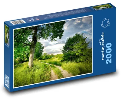 Obrázek produktu pro martinpuzzle - Puzzle 2000 - Příroda - cesta