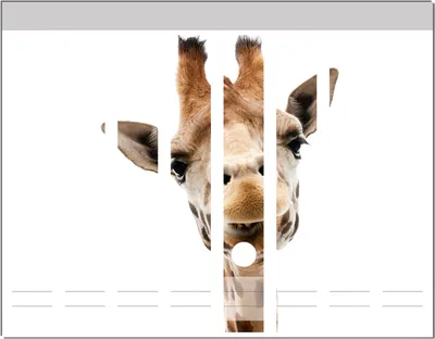 Produktbild von Wallario Ordnerrücken Sticker, selbstklebend für schmale Ordner, 8 Stück, Motiv Giraffenkopf