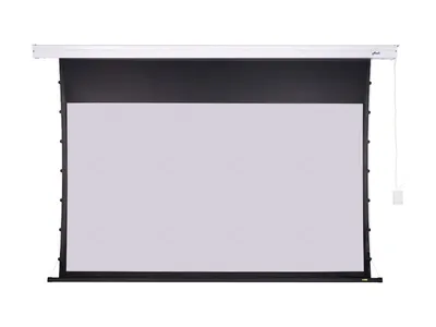 Zdjęcie produktu dla Płótno ścienne AVELI PREMIUM, metal, 221x124 (16:9) 100"