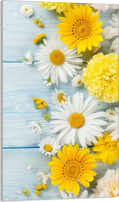 Immagine prodotto di Piastra copripiano cottura 30x52 Piastra copripiano cottura in Vetroceramica alzatina in vetro tagliere decorativo, legno di gerbera
