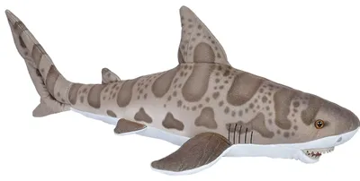 Produktbild von Nature Planet Pluschtier - Leopardenhai - braun - Plusch - Hai