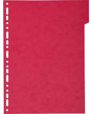 Produktbild von Exacompta 50x Register aus RC Kart.220g, 5 Taben, für Format A4 Maxi - 2105E
