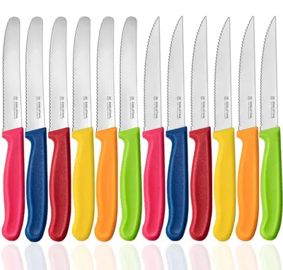 Image de Service de couverts 12 pièces : 6 couteaux à table et 6 couteaux à steak, en acier inoxydable, avec lame dentelée, manches en polypropylène, lavables au lave-vaisselle, colorés