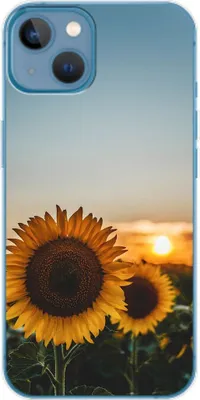 Produktbild von König Design Hülle kompatibel mit Apple iPhone 14 Plus Kunststoff Soft Handyhülle - Handy Case Sonnenblumen