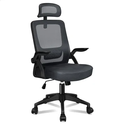 Produktbild von ALFORDSON Büro-Schreibtischstuhl, ergonomisch für Heimbüro, Computer-Netzstuhl mit dynamischer Lordosenstütze, Kopfstütze, Schwarz