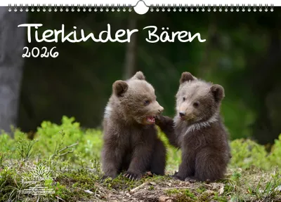 Produktbild von Tierkinder Bären DIN A3 Kalender für 2026 Bären - Seelenzauber