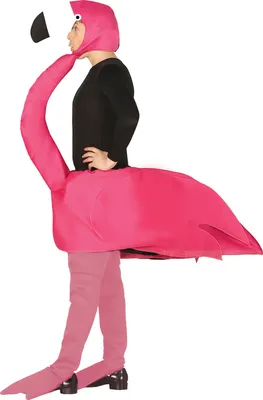 Immagine prodotto di Costume da fenicottero per uomo, taglia:L