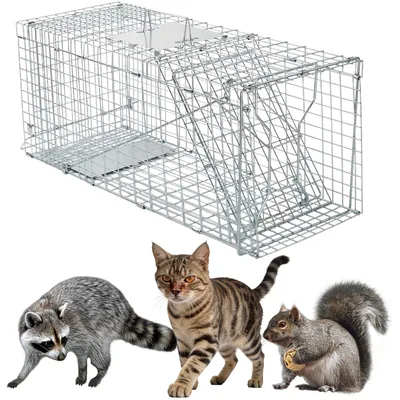 Zdjęcie produktu dla Solidchoice - Pułapka na zwierzęta, przeznaczona do łapania kotów, wiewiórek i innych dzikich zwierząt - 79 x 33 x 28 cm