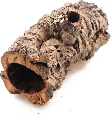 A piece of hollowed-out cork bark on a white background.