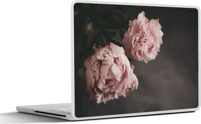Produktbild von MuchoWow® Laptop Aufkleber Sticker Cover Blumen - Rosa - Pfingstrose - Stilleben 25x18 cm - Laptop-Deko
