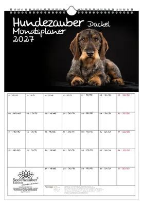 Produktbild von Hundezauber Dackel Planer DIN A3 Kalender für 2027 Welpen und Hunde - Seelenzauber