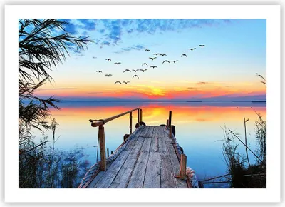 Produktbild von Poster - Poster ohne Rahmen - Brücke See - 70x50 cm - Wand Bild - Wanddeko - Wandbilder - Kunstposter - Wandposter - Bilder - Kunstdruck - Wanddekoration - Wandbild - P2XAA70x50-3818