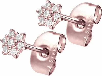 Produktbild von Chirurgenstahl Ohrstecker KRISTALLBLUME