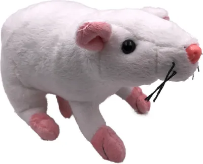 Immagine prodotto di Onwomania peluche in tessuto animale topo topo bianco roditore 31 cm