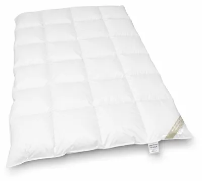Produktbild von Betten Hofmann Canada Kassetten Daunenbett 4x6 135x200 1000 g Daunendecke 100% neue Daunen