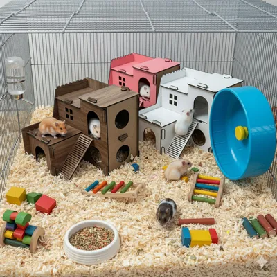 Produktbild von Hamsterhaus & Mäusehaus aus Holz, 2-stöckig mit Rampen & Höhlen : Anthrazit