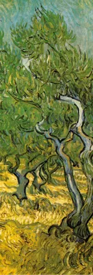 Obrázek produktu pro Vincent Van Gogh umělecký tisk obrazu - Olivový háj, 1889 (91 x 30 cm)