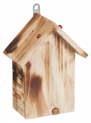 Image de Relaxdays Maison pour coccinelles, hôtel pour coccinelles de jardin, à suspendre, bois non traité, hôtel à insectes pour coccinelles, marron