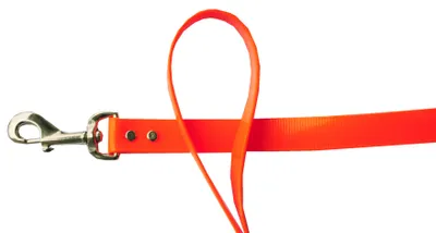 Produktbild von Hundeleine PVC mit Handschlaufe und Karabiner, 2,5 cm breit, 120 cm lang