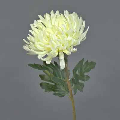 Produktbild von artplants.de Kunstblume Chrysantheme LINGYUN, weiß, 65 cm - Künstlicher Blumenzweig