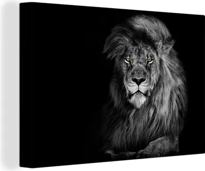 Obrázok produktu pre OneMillionCanvasses® - Obrazy na plátne - 140x90 cm, Lev - Oči - Oranžová - Čiernobiela - Zvieratá - Portrét, Nástenná umelecká tlač Nástenná dekorácia - Fotografia na plátne - Maľba na plátne