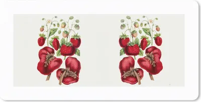 Produktbild von MuchoWow® Schreibtischunterlage Obst - Erdbeeren - Lebensmittel 80x40 cm - XXL Mauspad - Gaming Mauspad