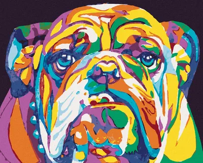 Produktbild von Zuty - Malen nach Zahlen - BUNTE BULLDOGGE, 40x50 cm, mit Keilrahmen (bereits gespannt)