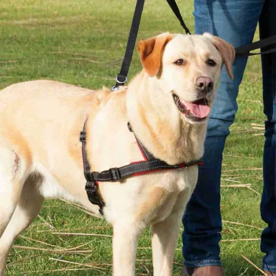 Produktbild von Trixie Trainingsgeschirr Lead'n'Walk Soft - M-L
