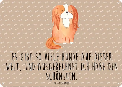 Produktbild von Mr. & Mrs. Panda Wandbild Hund Cavalier King Charles Spaniel DIN A6 - Hundeglück - Geschenk, Sprüche, Schild, Blechschild, Bester, tafel, Spruch, Türschild, Retro