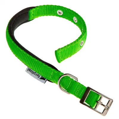 Produktbild von HundeHalsband Daytona 45 x 2,5 cm Stahl/Nylon grün