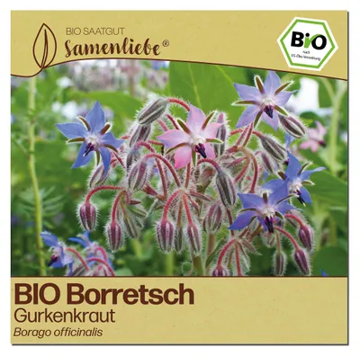Produktbild von Samenliebe  Borretsch Samen | Gurkenkraut - essbare Blüten - samenfestes  Saatgut