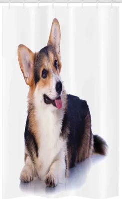 Produktbild von ABAKUHAUS Corgi Schmaler Duschvorhang, Pembroke Welsh Hundeliebhaber-Kunst, Badezimmer Deko Set aus Stoff mit Haken, 120 x 180 cm, Pale Eggshell Dunkler Pfirsich