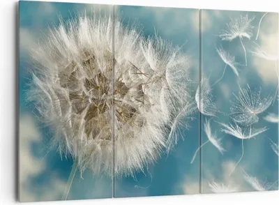 Produktbild von Bild auf Leinwand - Leinwandbild - Baby Sommer Pflanze - 165x110cm - Wand Bild - Wanddeko - Leinwanddruck - Bilder - Kunstdruck - Wanddekoration - Leinwand bilder - Wandkunst - CE165x110-3567