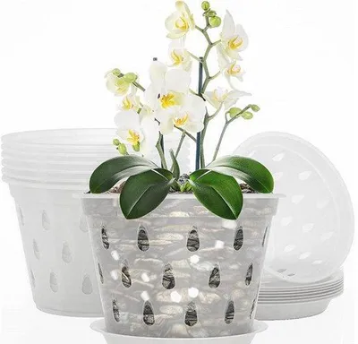 Zdjęcie produktu dla Zestaw doniczek do orchidei – przezroczyste doniczki – do użytku wewnątrz i na zewnątrz – lepsza wentylacja – 4 cale – 8 sztuk – przezroczyste