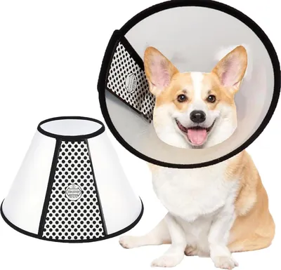 Image de SUQ Collier cervical pour animaux domestiques, Collier de protection réglable en plastique en forme de cône 39-43cm