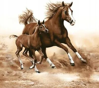 Obrázek produktu pro Ubrousky HORSES Koně Narozeniny 33x33cm 20ks.