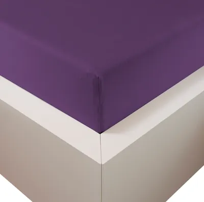 Produktbild von Traumschloss Premium Plus Edel-Jersey Spannbettlaken 180-200 x 200-220 cm violett 260g/m², 47,5% Mako Baumwolle, 47,5% Lyocell, 5% Elasthan