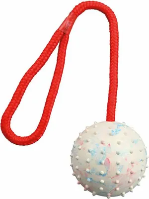 Obrázek produktu pro TRIXIE 3308, Kočka (zvíře) / pes, Míč, Guma, 7 cm, 300 mm