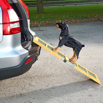 Immagine prodotto di Mucola rampa per cani rampa per cani auto telescopica ausilio per la pensione rampa per cani gradini pieghevoli per animali domestici rampa pieghevole per auto petwalk