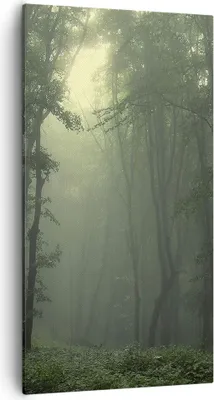 Produktbild von Bild auf Leinwand - Leinwandbild - Wald Nebel Baum - 55x100cm - Wand Bild - Wanddeko - Wandbilder - Leinwanddruck - Bilder - Kunstdruck - Wanddekoration - Leinwand bilder - Wandkunst - PA55x100-3543