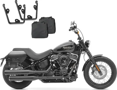 Immagine prodotto di Set: Borse Fargo + portaborse per HDV Softail