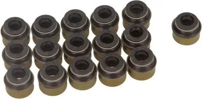 Image de Jeu de joints, tige de soupape REINZ 12-31306-12