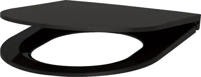 A black toilet seat with a lid, shown from a slightly elevated side angle against a white background.