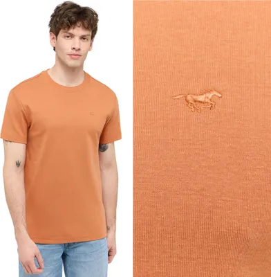 Produktbild von MUSTANG Herren, T-Shirt ALLEN, S, Orange, sport, tshirt, shirt