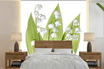 Produktbild von MuchoWow® Fototapete für Wohnzimmer oder Schlafzimmer Wandtapete Vinyl Motivtapete Ein Porträt der weißen Blüten der Lilie von Dalen - 260x260 cm - Papiertapeten