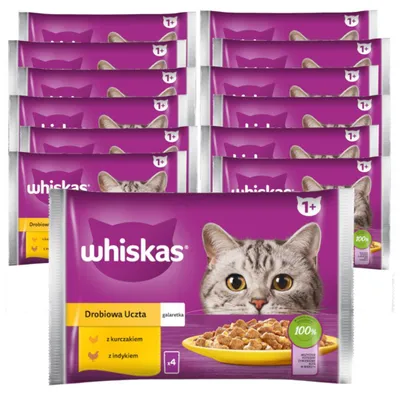 Zdjęcie produktu dla Whiskas Adult 13x340g Drobiowa Uczta Mokra Karma Dla Dorosłego Kota W Galaretce Kawałki Z Kurczakiem I Indykiem